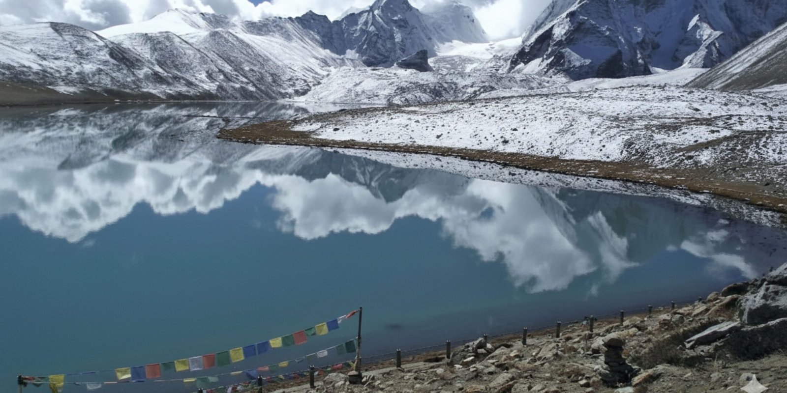 _go golden website (6)