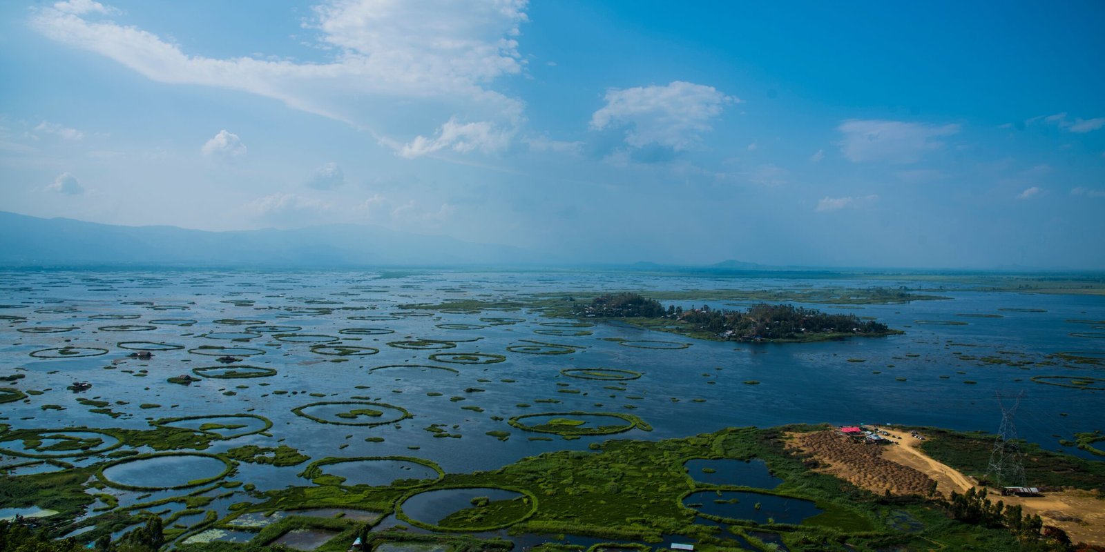 _go golden website (63)