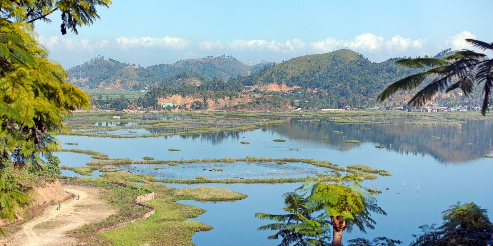 _go golden website (66)