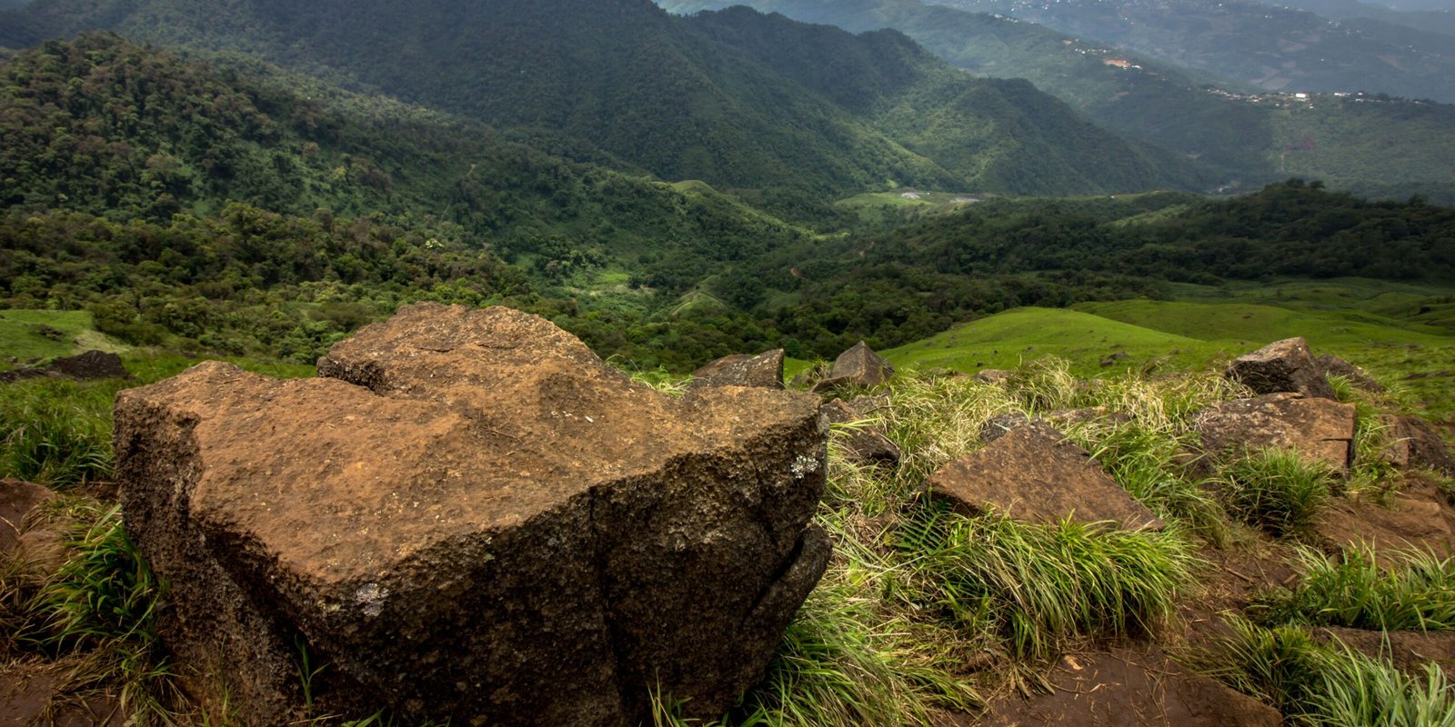 _go golden website (68)