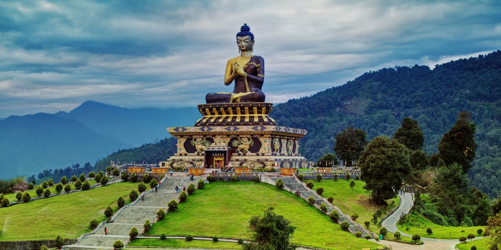 _go golden website (7)