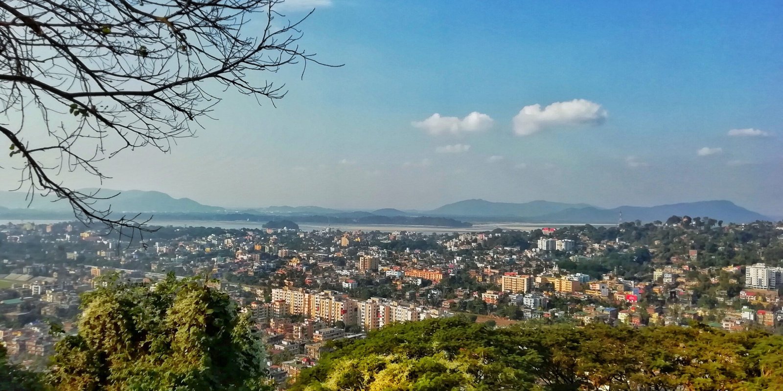 _go golden website (90)