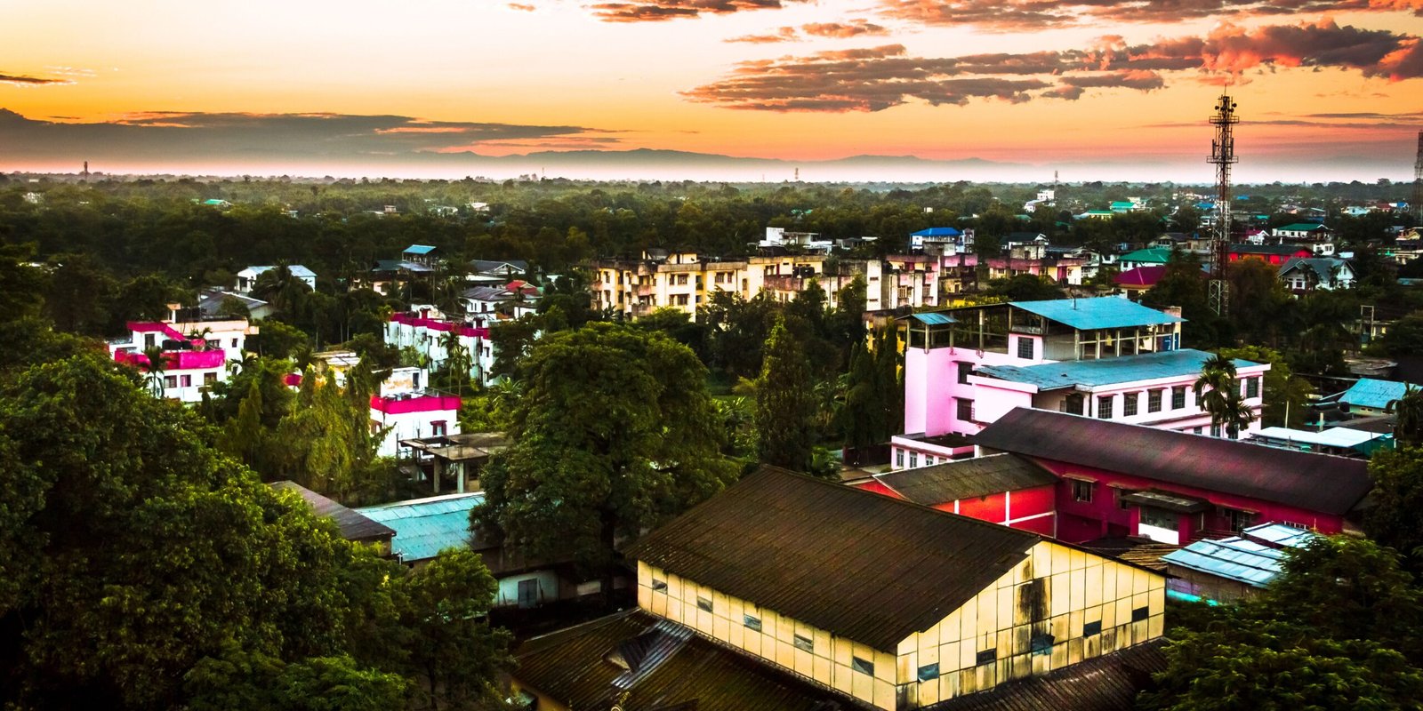 _go golden website (93)