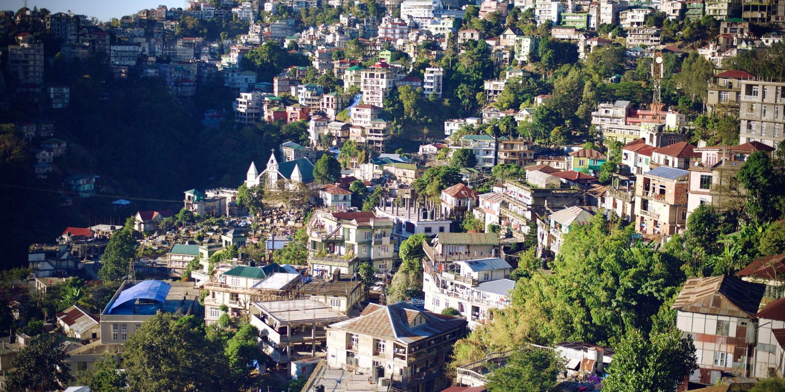 _go golden website (94)