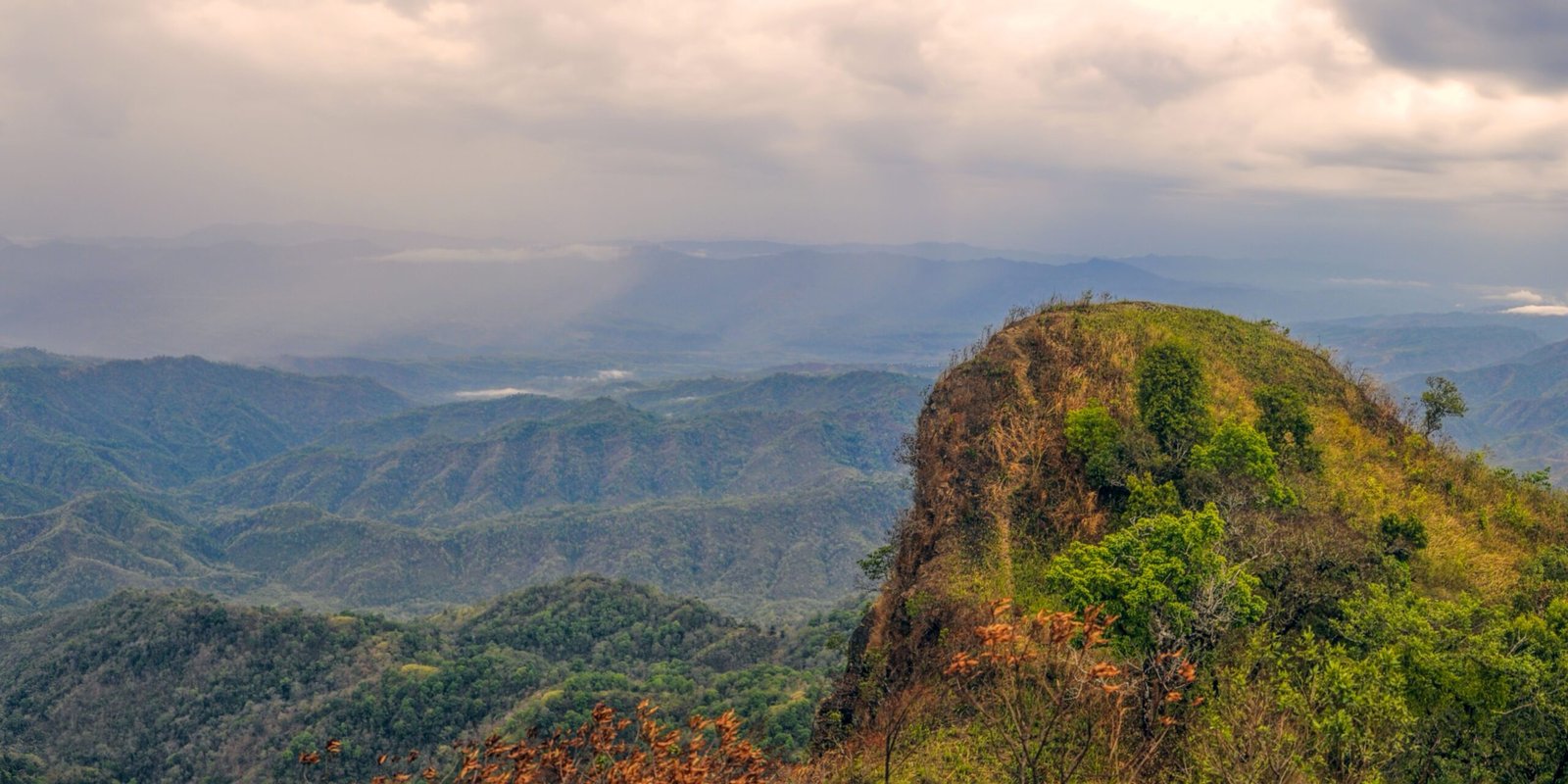 _go golden website (96)