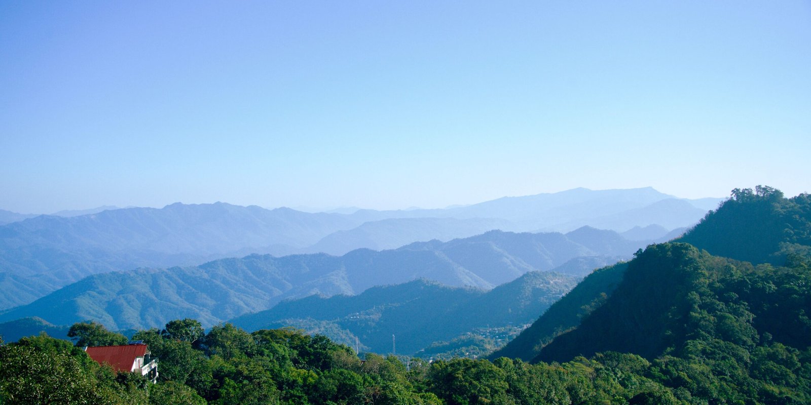 _go golden website (97)