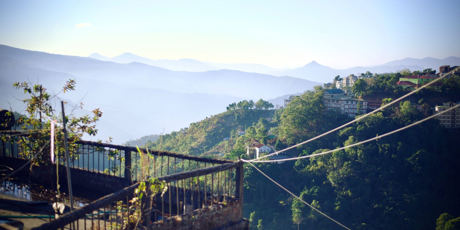 _go golden website (98)