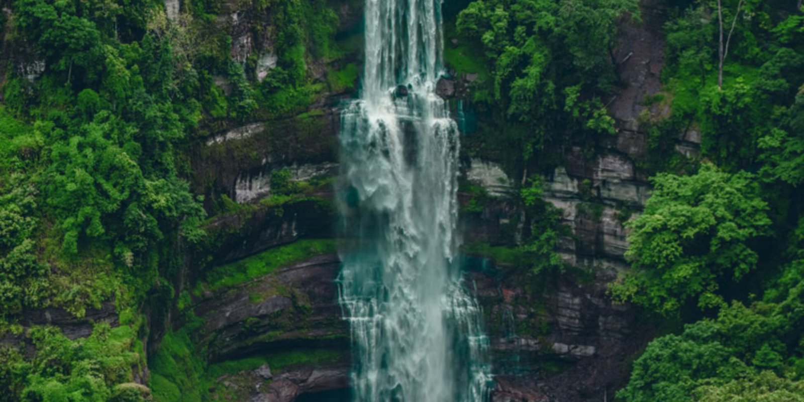 _go golden website (99)