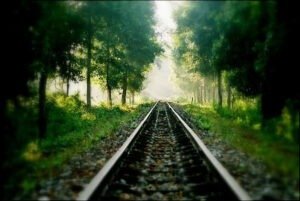 Dooars Tour Packages 3Nights / 4Days